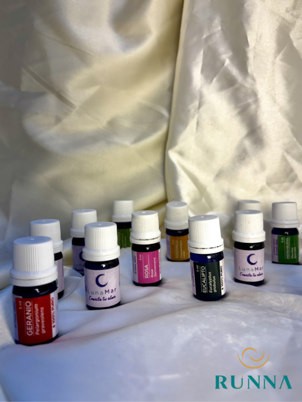 106 (1) ACEITES ESENCIALES