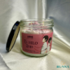 81 VELAS LITERARIAS